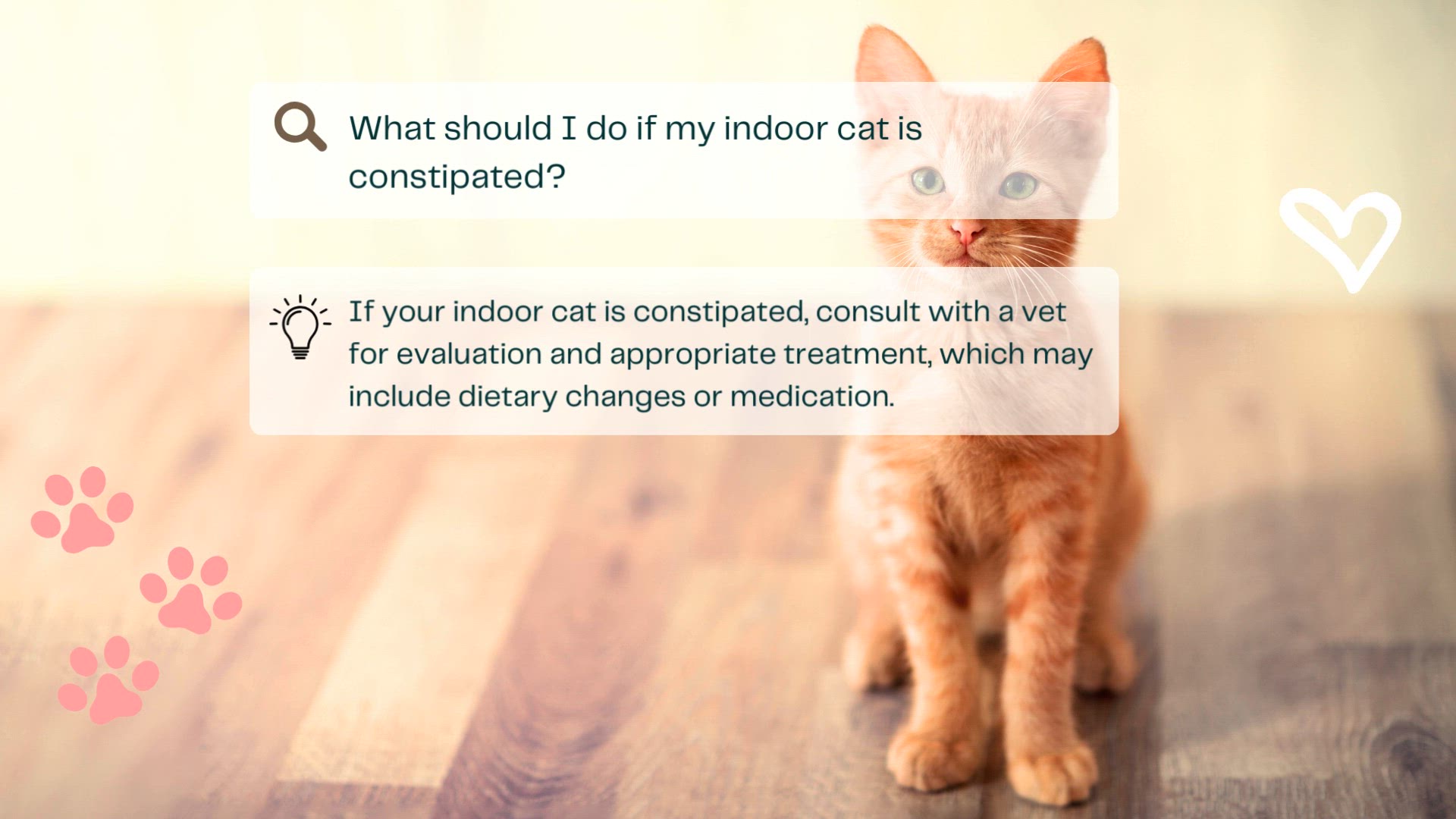 Title: Why Do Cats Love to Scratch the Sofa? The Enigma of Feline Behavior