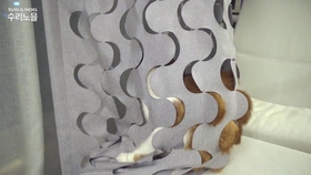 Is 12-meter Curtain Tape Expensive?