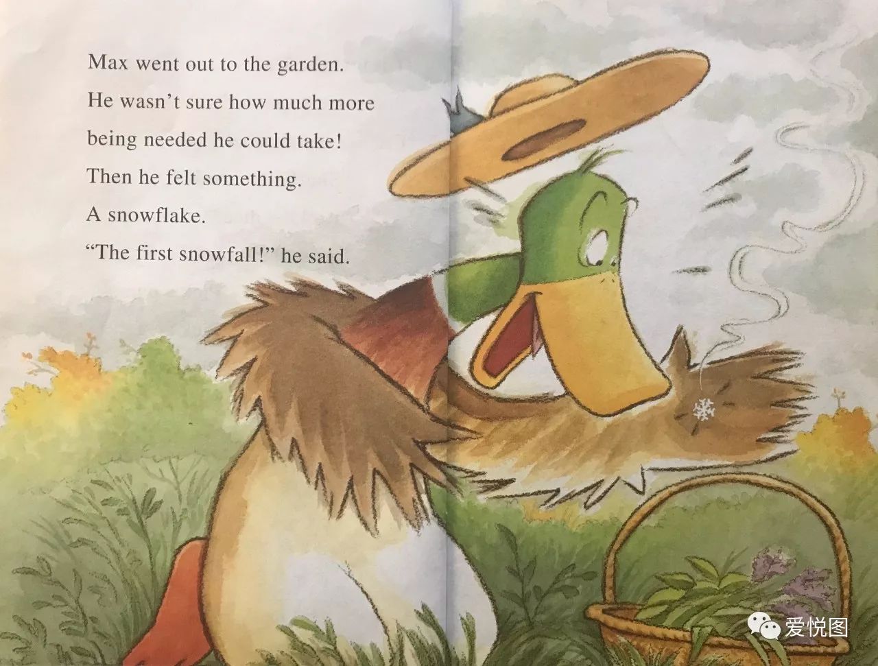 Title: Is Grey Duck Feather a Good Choice?