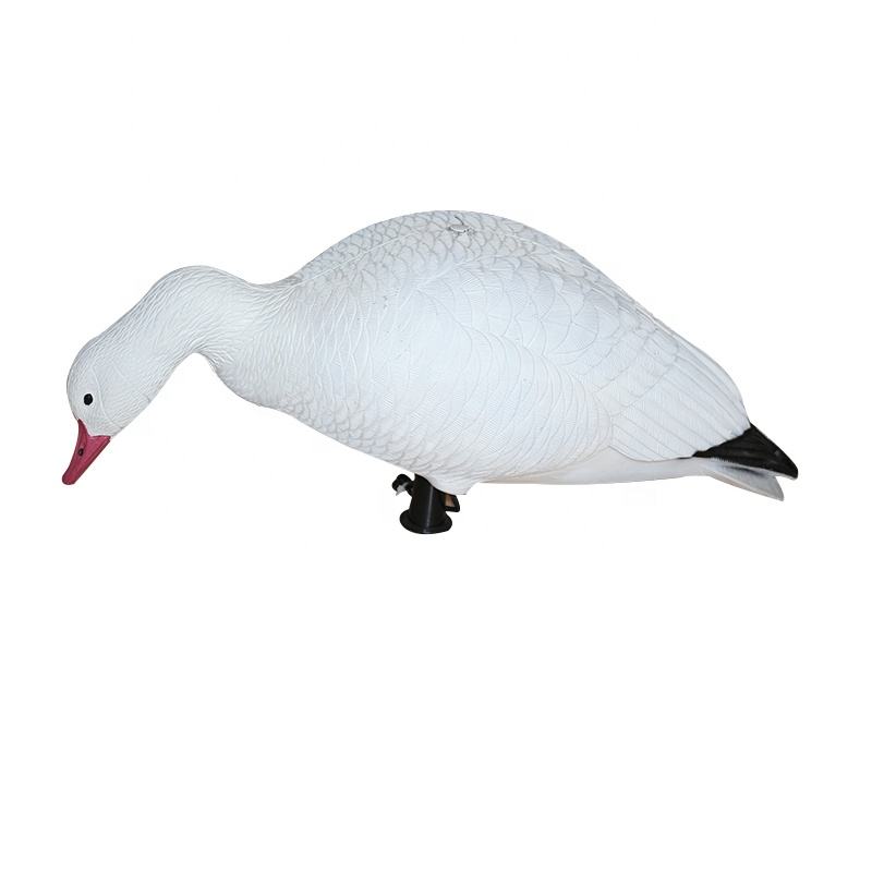 Title: The Comparison of White Duck Feather and White Goose Feather