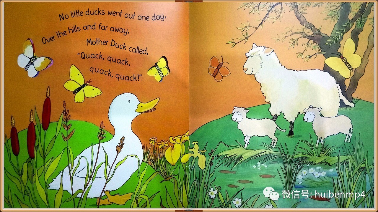 Title: Duck Feather Cover vs. Goose Feather Cover: Which One Is Better?