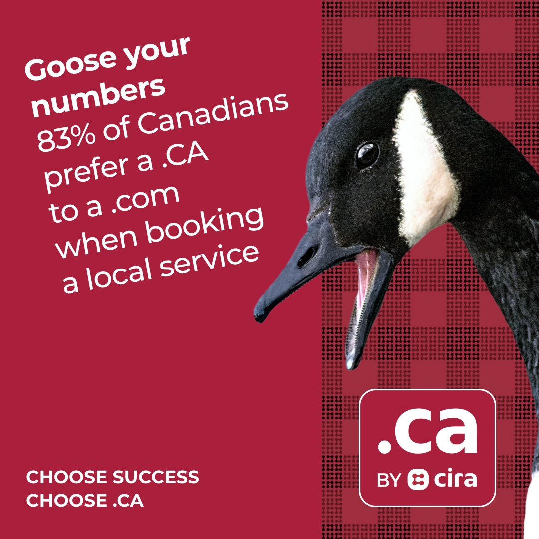 Title: The Unique Journey of Canadian Goose Down