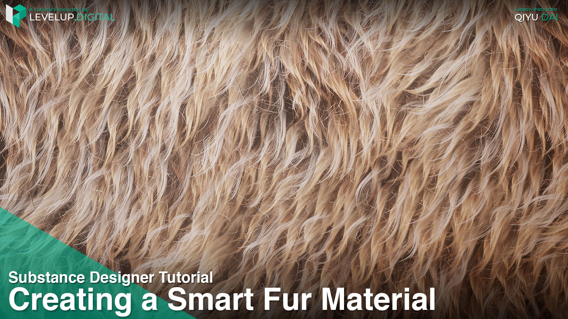 Title: How to Clean a Real Fur Collar