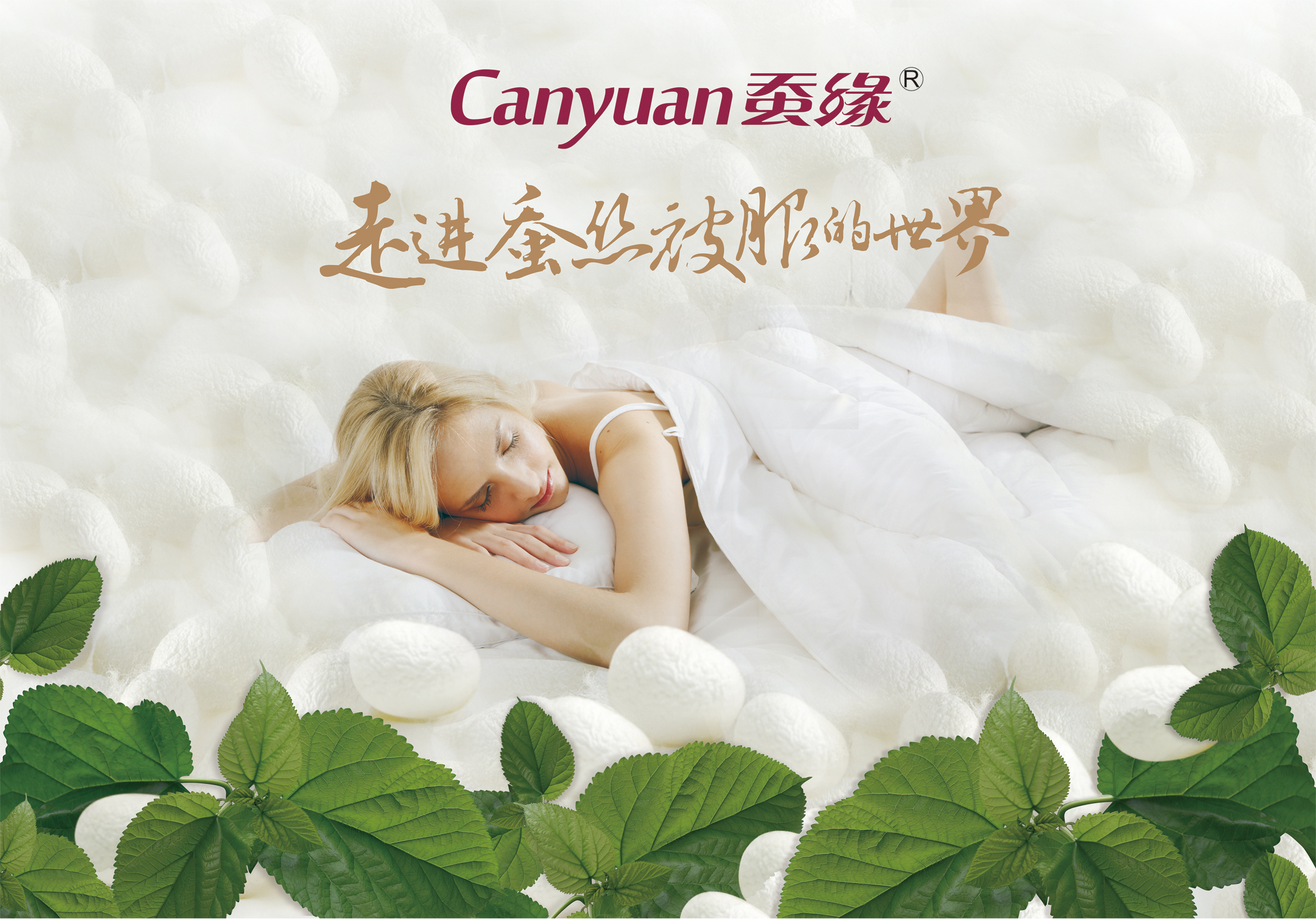 Title: The Silk Journey of蚕缘蚕丝被