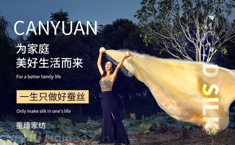 Title: The Silk Journey of蚕缘蚕丝被