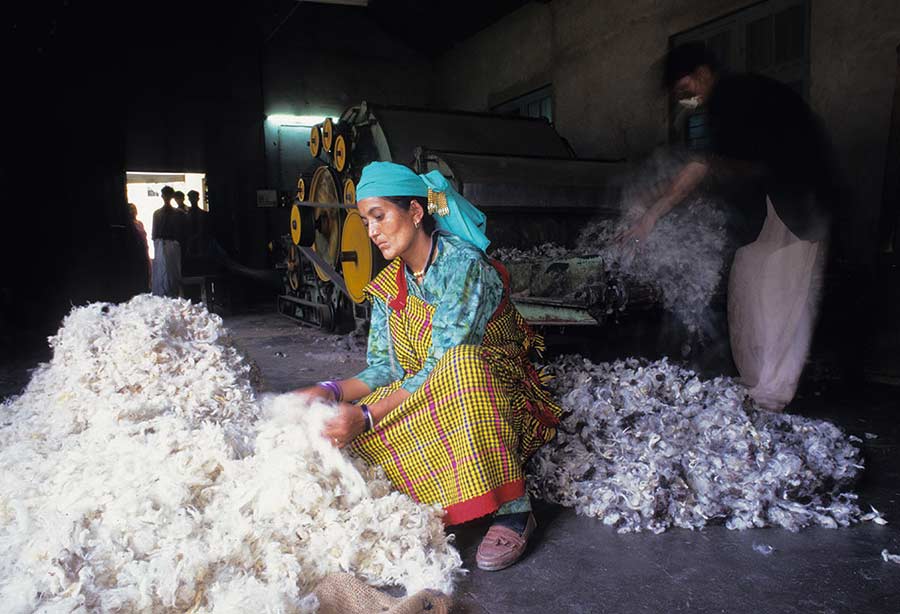Title: The Silk-Weaving Craft of the Silk-Rearing People